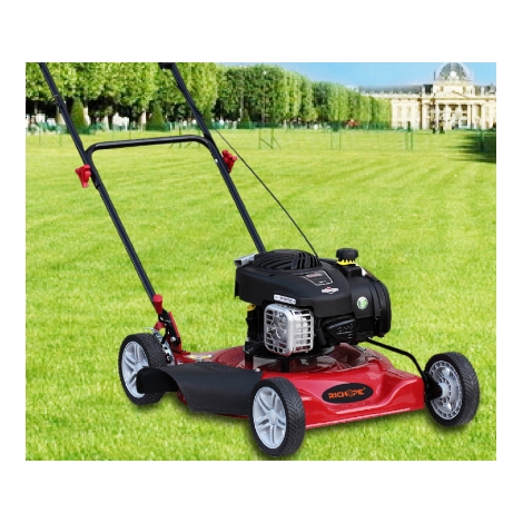Rasenmäher Motor von XTM gemacht